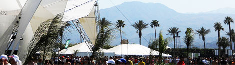 coachella music festival